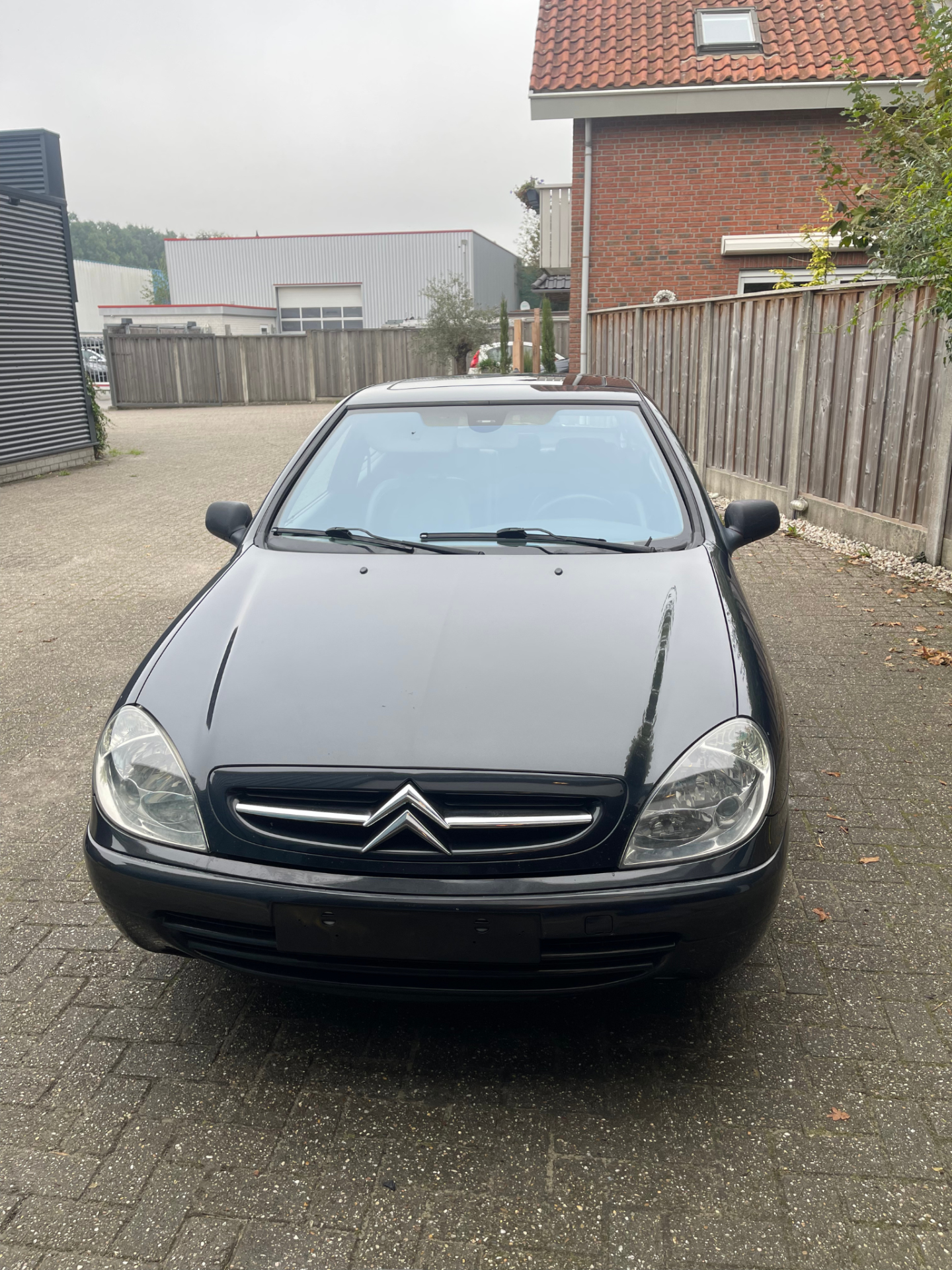 Citroën Xsara VTS nach Lackaufbereitung Politur Bad Bentheim